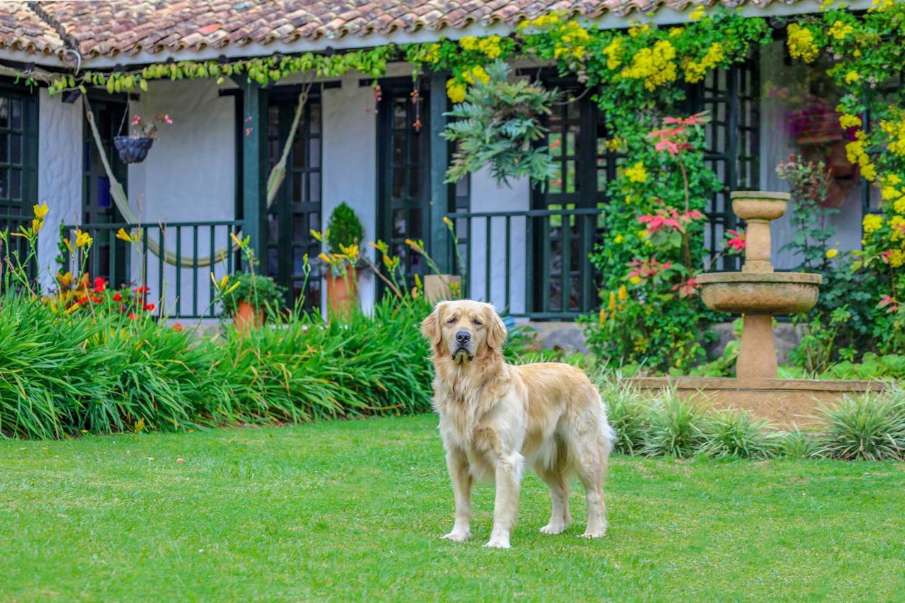 Casa San Nicolas Villa de Leyva Εξωτερικό φωτογραφία